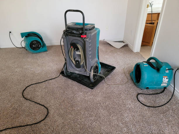 Best Flooded house restoration  in Stockton, CA