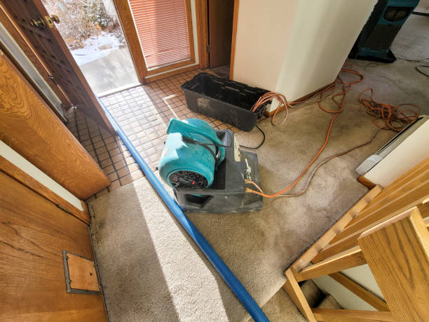 Best Basement water damage restoration  in Stockton, CA
