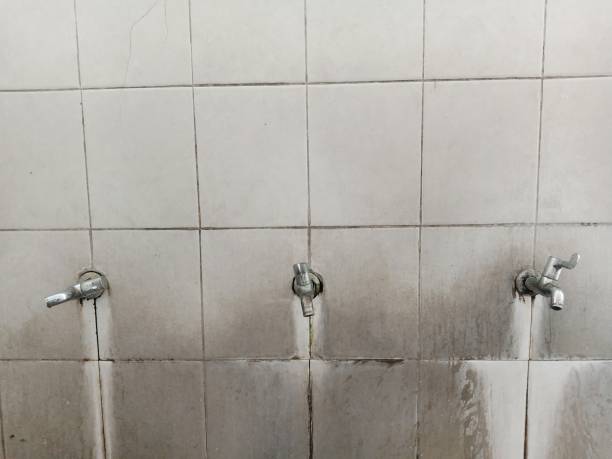 Water damage restoration experts in CA