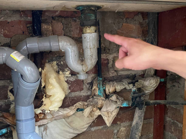 Best Professional water damage repair  in Stockton, CA