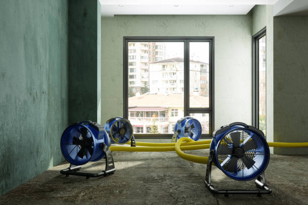 Best Carpet water damage restoration  in Stockton, CA